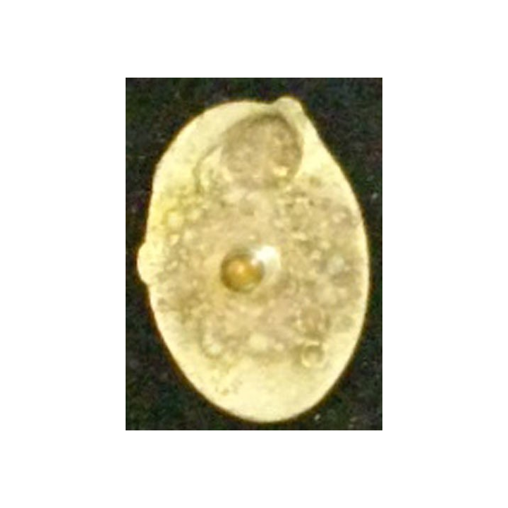 32° RI : 32° RÉGIMENT D'INFANTERIE MINIATURE PEINT (H à 2 cm)