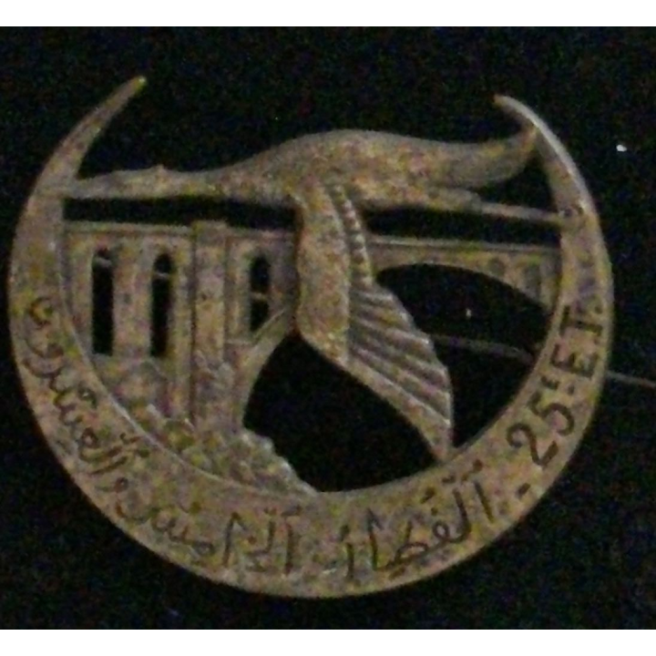 Insigne du 25° escadron du train de fabrication chobillon, matricé avec épingle à bascule