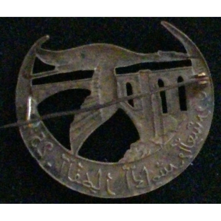 Insigne du 25° escadron du train de fabrication chobillon, matricé avec épingle à bascule