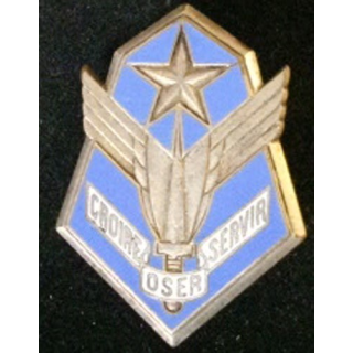 101° groupe de l'ALAT à la devise croire oser servir Drago G. 1630