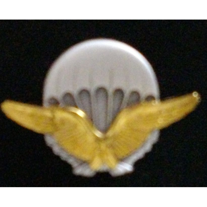 brevet militaire d'initiation parachutiste de l'armée de l'air