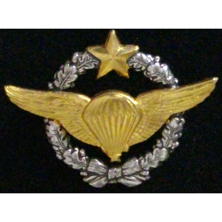insigne de brevet militaire de parachutiste d'essai
