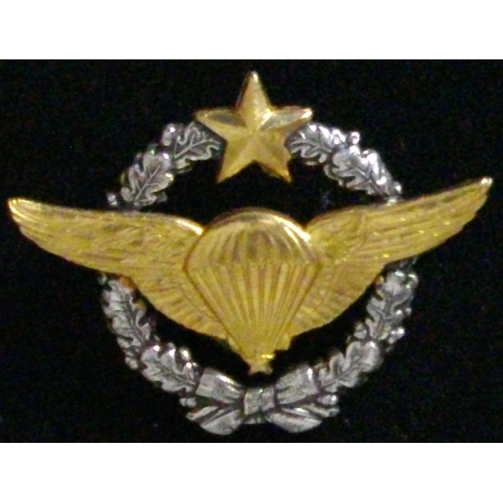 insigne de brevet militaire de parachutiste d'essai