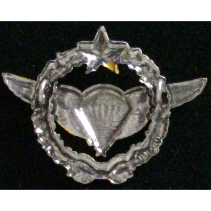 insigne de brevet militaire de parachutiste d'essai
