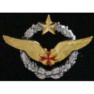 Insigne de brevet militaire de convoyeuse de l'armée de l'air