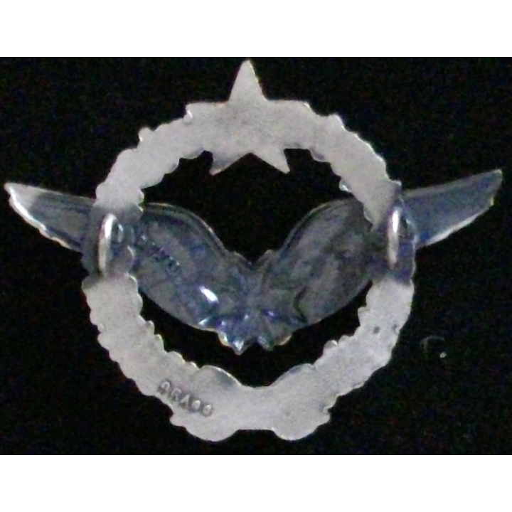 Insigne de brevet militaire de convoyeuse de l'armée de l'air