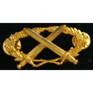 Insigne du brevet militaire professionnel n°2
