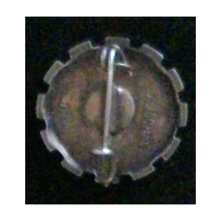 Insigne du 9° bataillon médical du service de santé féminin