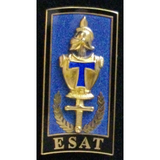 Insigne de l'école supérieure et d'application des transmissions