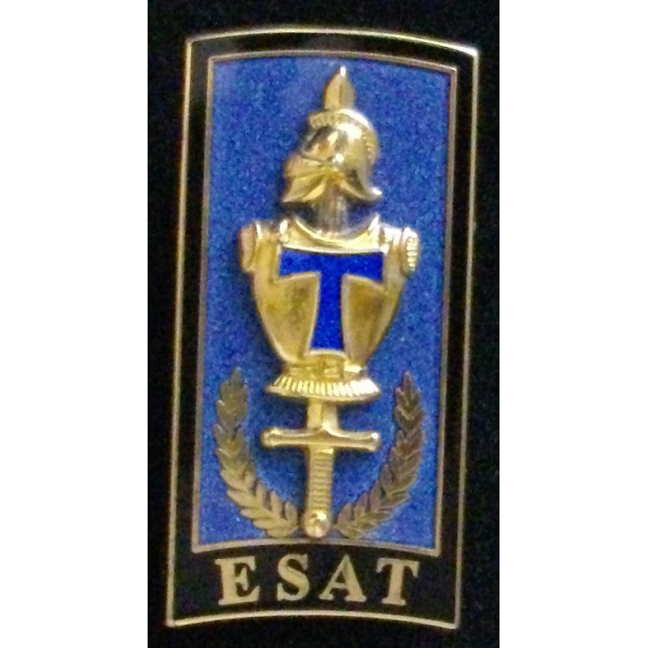 Insigne de l'école supérieure et d'application des transmissions