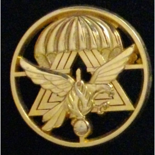 Insigne de béret du GSIGN