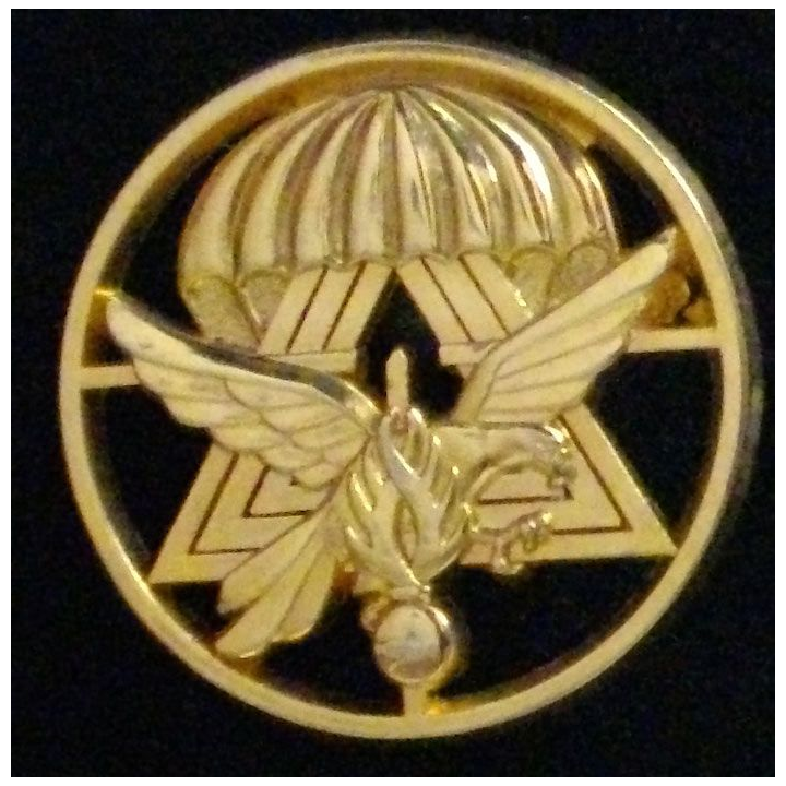 Insigne de béret du GSIGN