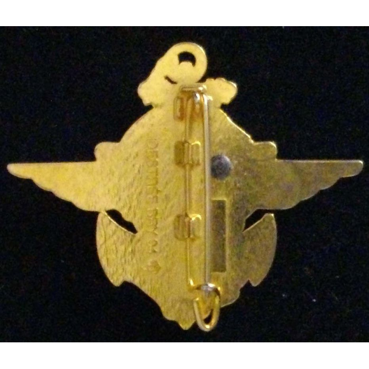 Insigne de la compagnie des transmissions opération épervier