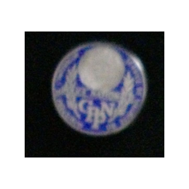 Pin's du SSMI de la police nationale CPPN