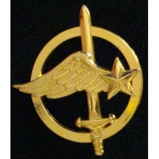 Insigne de béret des commandos de l'air