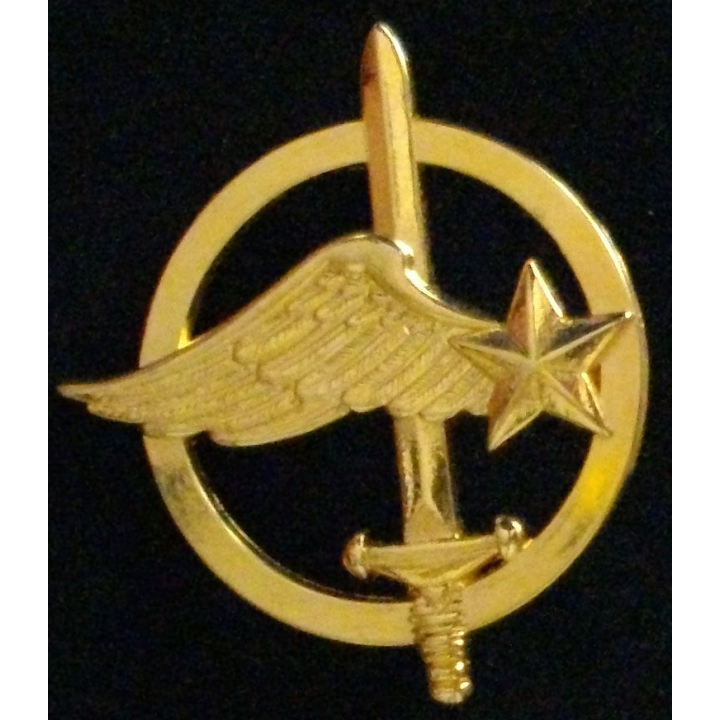 Insigne de béret des commandos de l'air