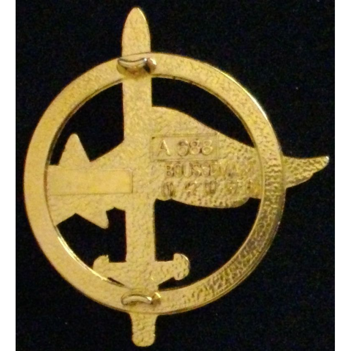 Insigne de béret des commandos de l'air
