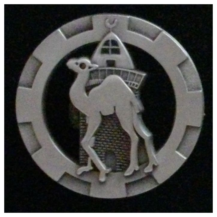 Insigne des moyens techniques 10-188 à Djibouti
