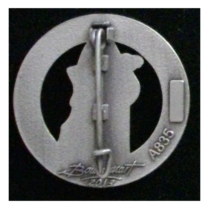 Insigne des moyens techniques 10-188 à Djibouti
