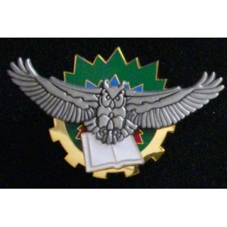 Insigne de l'EETIS 62-530