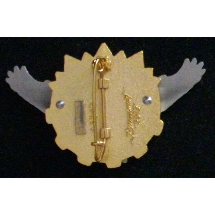 Insigne de l'EETIS 62-530