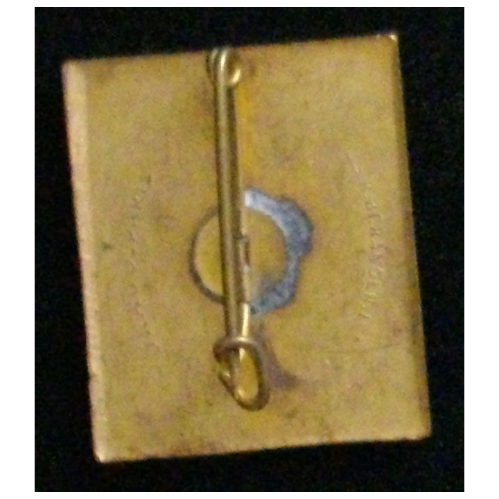 Insigne de la division Rhin et Danube