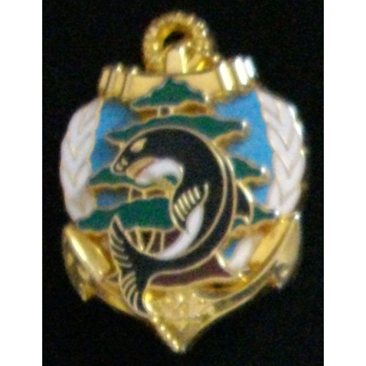 Insigne du 21° régiment d'infanterie de marine au Libal