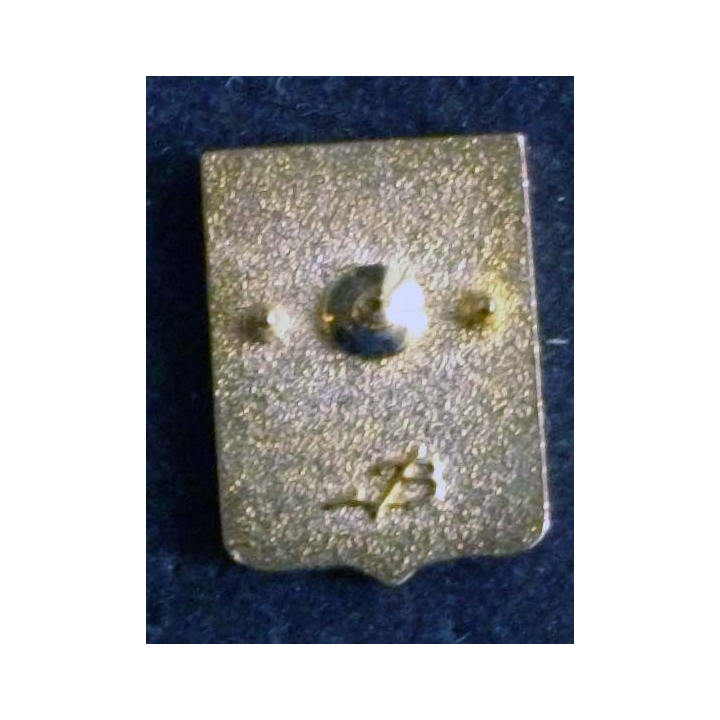 110°RI : pin's de l'insigne de la 5° compagnie du 110° régiment d'infanterie de fabrication Boussemart de hauteur 1,8 cm