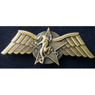 DGSE CPES brevet moniteur de combat de choc de fabrication Béraudy et Vaure Ambert GS 148 en bronze