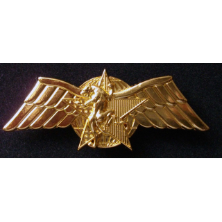 DGSE CPES brevet moniteur de combat de choc de fabrication Béraudy et Vaure Ambert GS 150 doré
