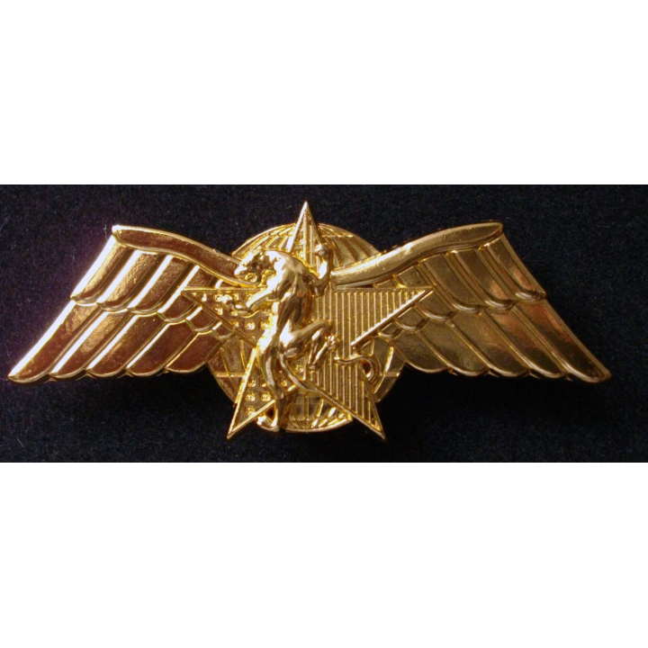 DGSE CPES brevet moniteur de combat de choc de fabrication Béraudy et Vaure Ambert GS 150 doré