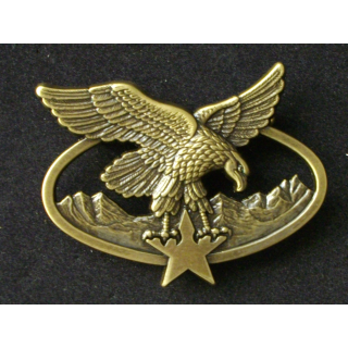 Insigne métallique de brevet d'alpiniste ou de skieur militaire avec étoile de fabrication Béraudy Vaure GS. 137