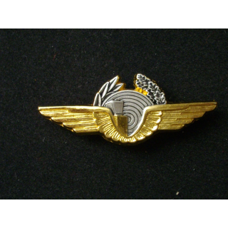 Brevet d'officier instructeur contrôleur de la sécurité aérienne de fabrication Béraudy Vaure GS. 113