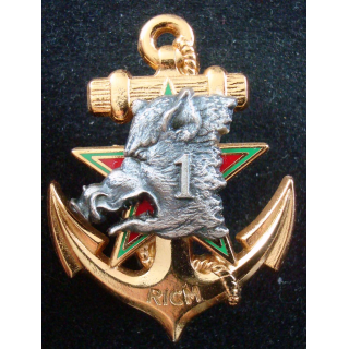 1° escadron du régiment d'infanterie chars de marine Drago Noisiel Marne la Vallée