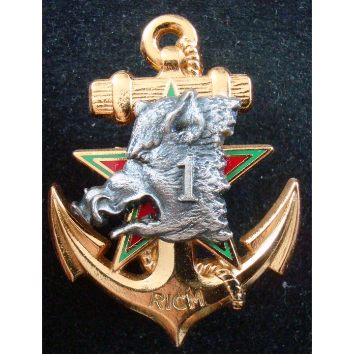 1° escadron du régiment d'infanterie chars de marine Drago Noisiel Marne la Vallée