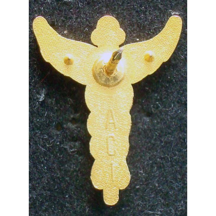 Pin's santé : pin's du caducée de la santé de hauteur 2,4 cm et couleur bleue
