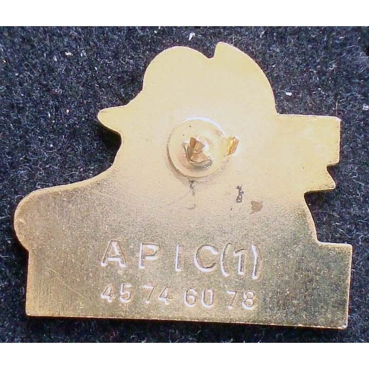 Pin's santé : pin's de l'EREA Jean Monnet