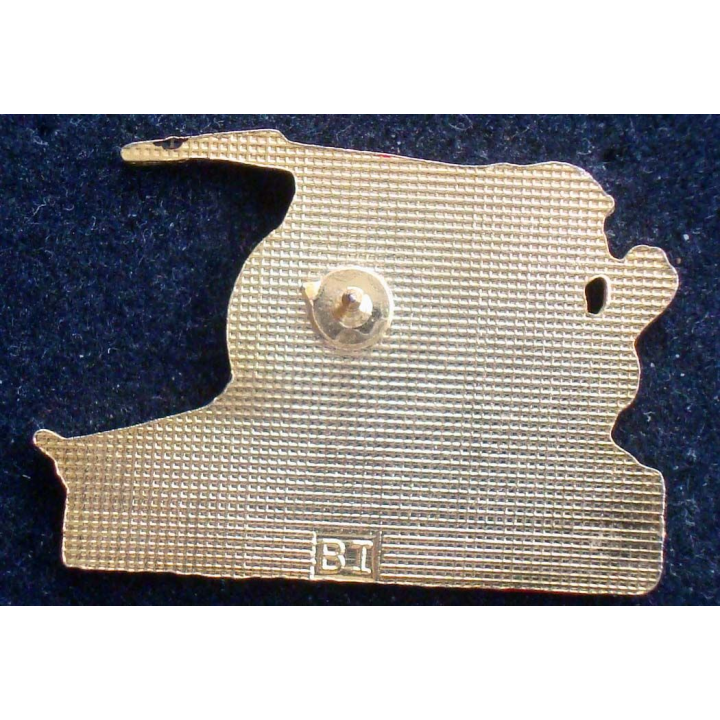 Pin's pompier : pin's des pompiers de garancières