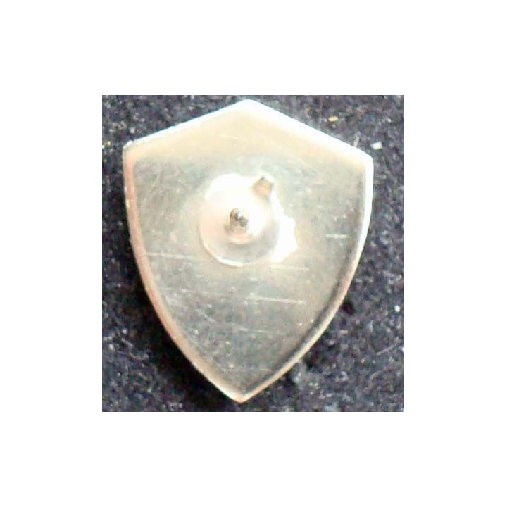 Pin's militaire : pin's de l'opération Delta 2001 forces Otan en Afghanistan