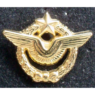 Pin's militaire : pin's de brevet de pilote d'avion de l'armée de l'air
