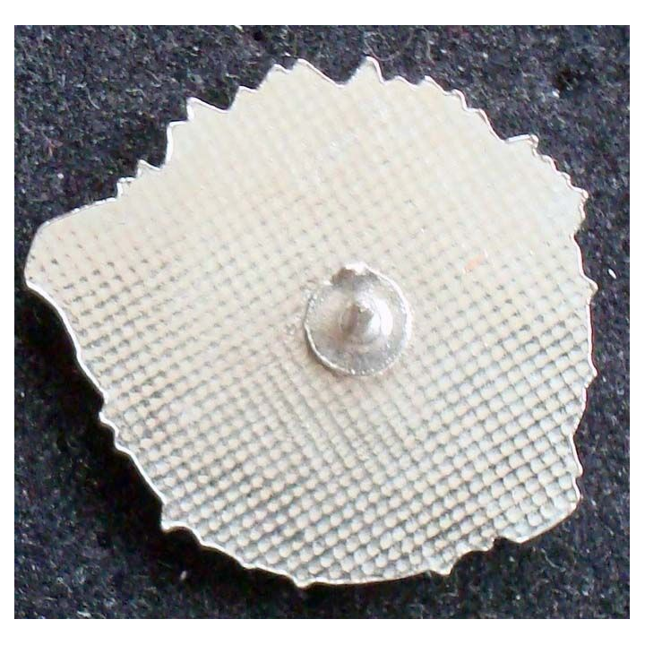 Pin's militaire : pin's du service auto de l'administration centrale du ministère