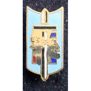Pin's militaire : pin's d'école militaire
