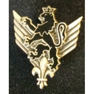 6° RHC : insigne du 6° régiment d'hélicoptères de combat de fabrication Drago G. 1904