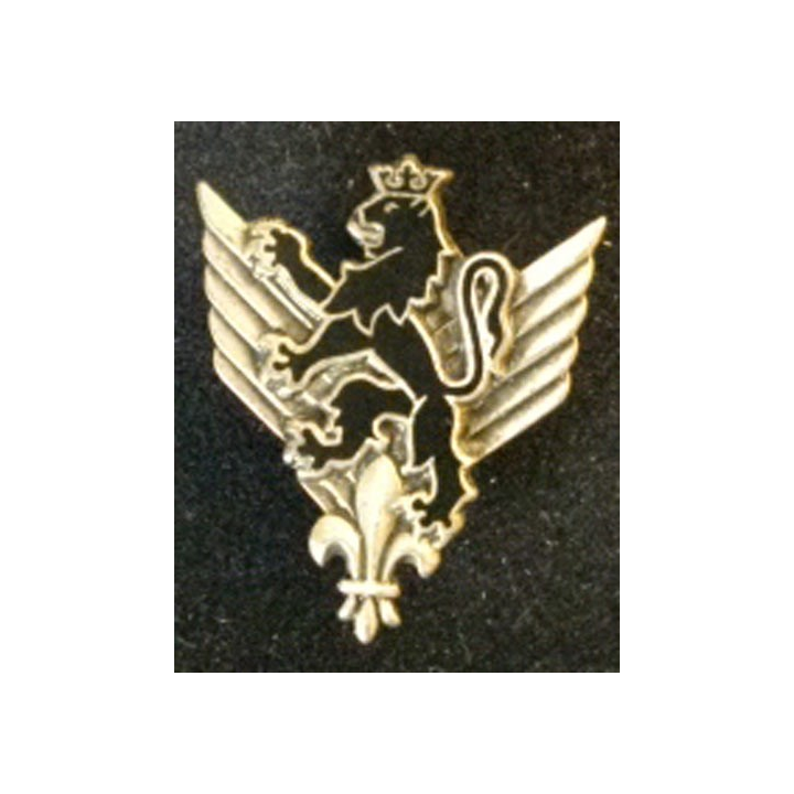 6° RHC : insigne du 6° régiment d'hélicoptères de combat de fabrication Drago G. 1904