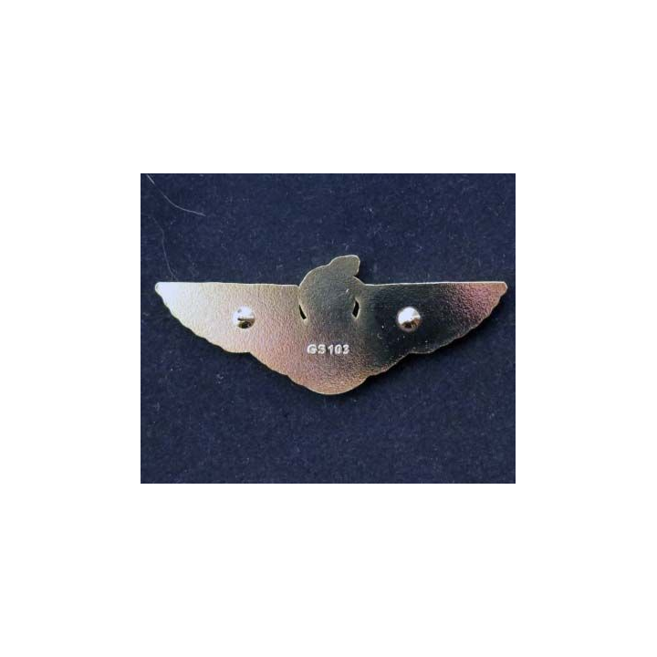 CPIS GS 103  avec attaches pin's sans fabricant apparent