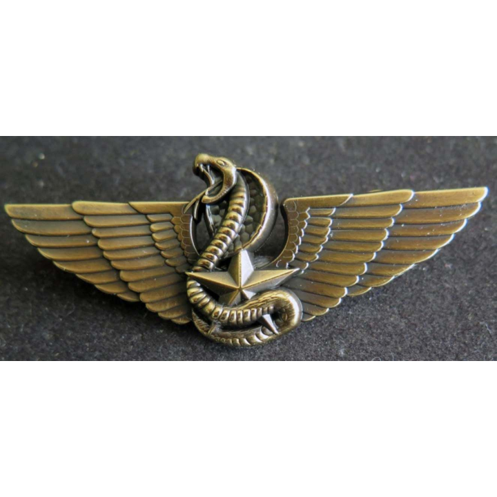 insigne métallique du brevet moniteur de combat spécialisé CTE bronze