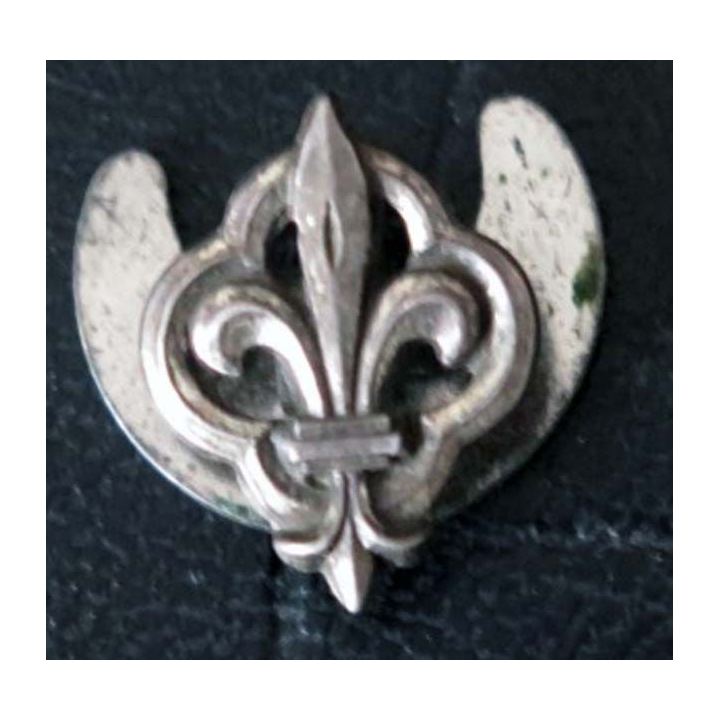 Insigne de boutonnière scout ? de 1,3 x 1,6 cm en métal