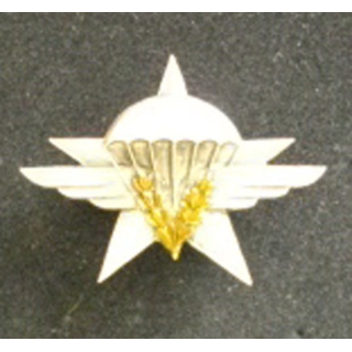 1° RÉGIMENT DE CHASSEURS PARACHUTISTES (AUGIS)