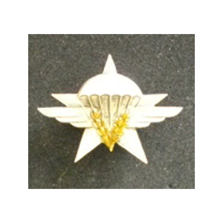 1° RÉGIMENT DE CHASSEURS PARACHUTISTES (AUGIS)