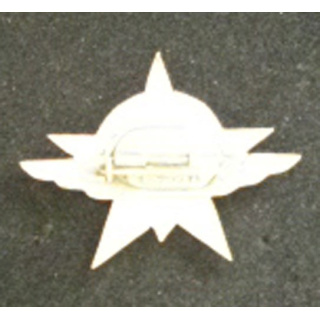 1° RÉGIMENT DE CHASSEURS PARACHUTISTES (AUGIS)